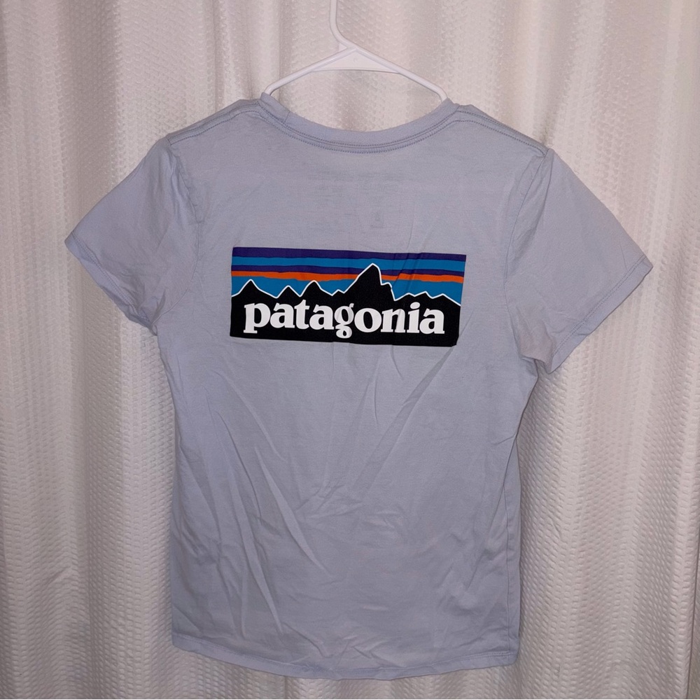 Patagonia Sky Blue Tee with Mountain Graphic